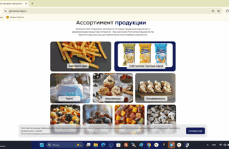 Сео продвижение сайта в поисковых системах Яндекс и Google от Толстель Максима