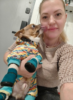 Мастерская обуви для собак