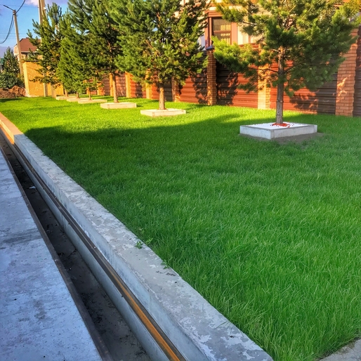 Посевной газон в новосибирске