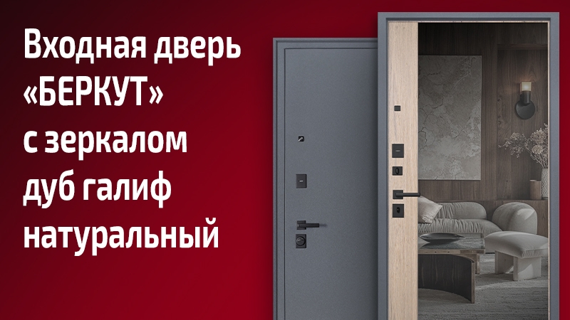 Входная дверь с зеркалом Беркут