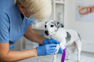 Диагностика почечной недостаточности