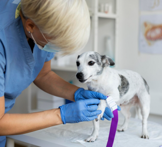 Диагностика почечной недостаточности