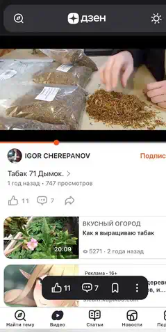 Фотография с площадки "Дзен" о нашем бюджетном табаке