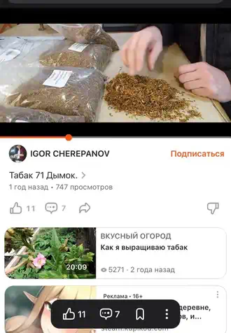Фотография с площадки "Дзен" о нашем бюджетном табаке