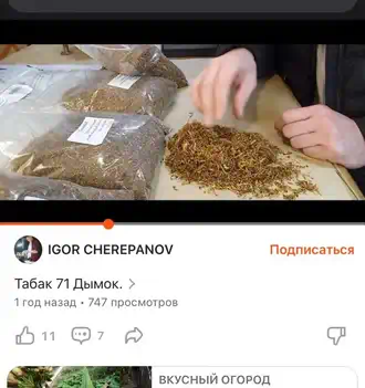 Фотография с площадки "Дзен" о нашем бюджетном табаке