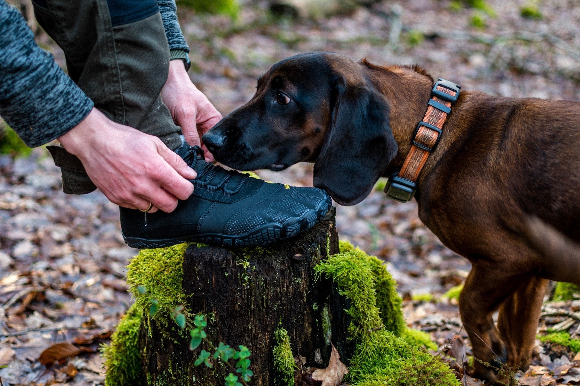 Barefoot босоногая обувь в Беларуси Saguaro.by