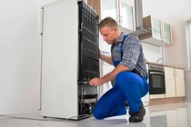 Montaj și conectare Frigider congelator în Chișinău, Anenii Noi, Moldova – comandă, preț 068791643 