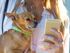 Основные отличия синдрома и болезни Иценко Кушинга. Как избавиться. 