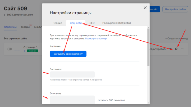 Настройки страницы в mottor, раздел Соц.сети