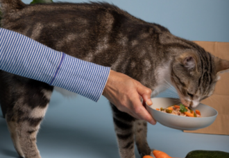 Витамины и антиоксиданты для поддержки здоровья почек