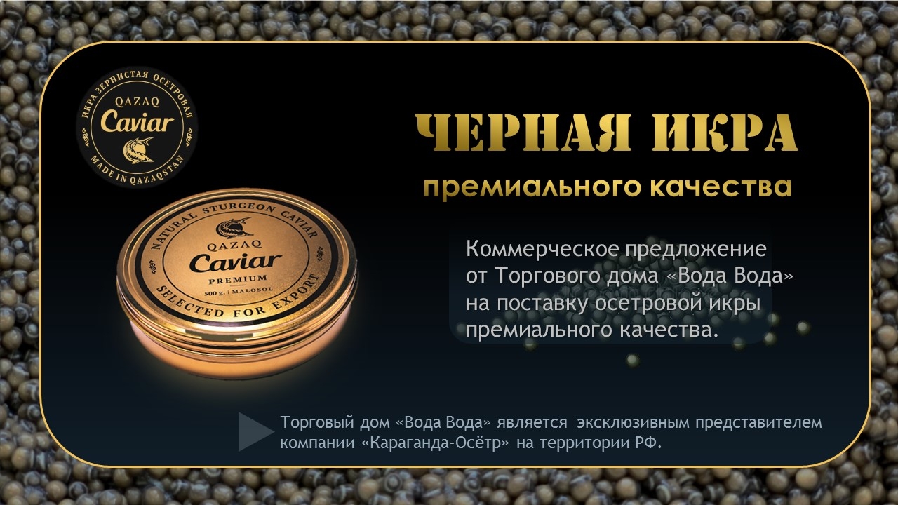 Титульный лист презентации