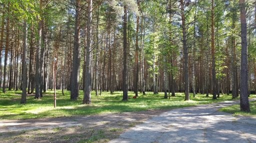 база отдыха томск