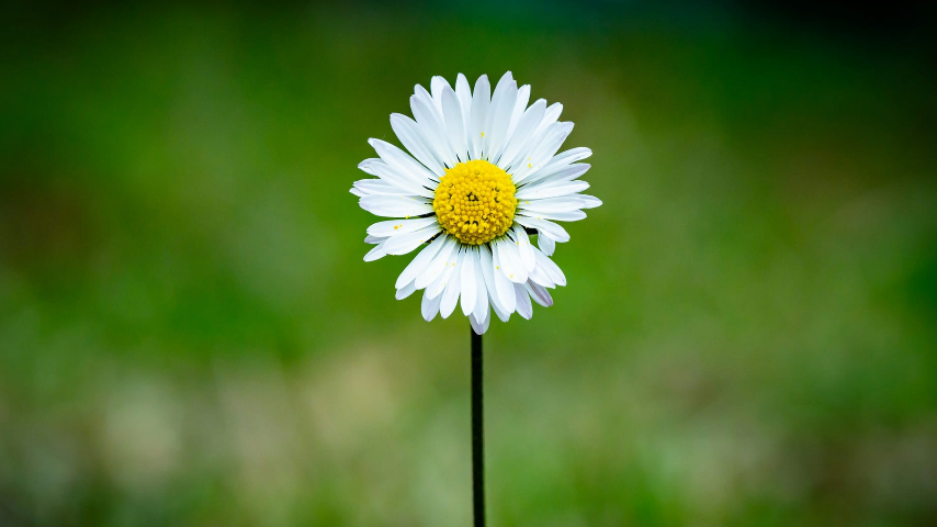 природа нуждается в защите