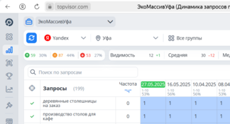 Сео продвижение сайта в поисковых системах Яндекс и Google от Толстель Максима