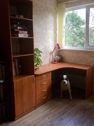 Фото письменного стола, выполненное клиентом компании Hansa Mebel для отзыва