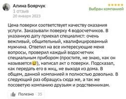 Скриншот отзыва, поверка водосчетчика - 01.2023