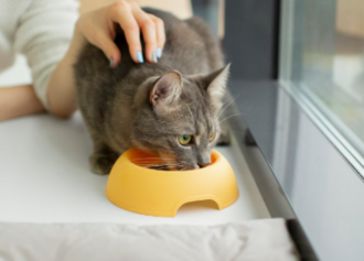 Гидратация: как обеспечить достаточное потребление воды