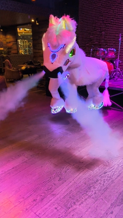 световое шоу