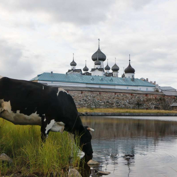 Описание тура в Карелию
