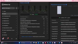 Сео продвижение сайта в поисковых системах Яндекс и Google от Толстель Максима
