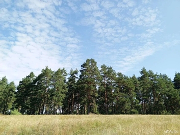 отдых за городом Саратов