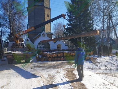 Бревно сосны 8 метров на участке