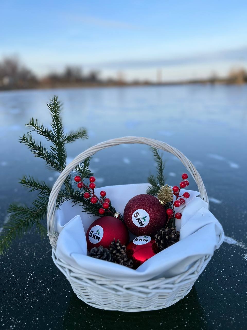 Новый год на природе