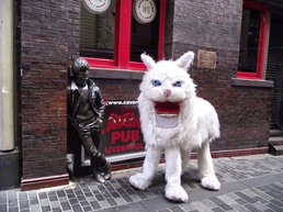 Кот в Cavern Club THE BEATLES в Ливерпуле