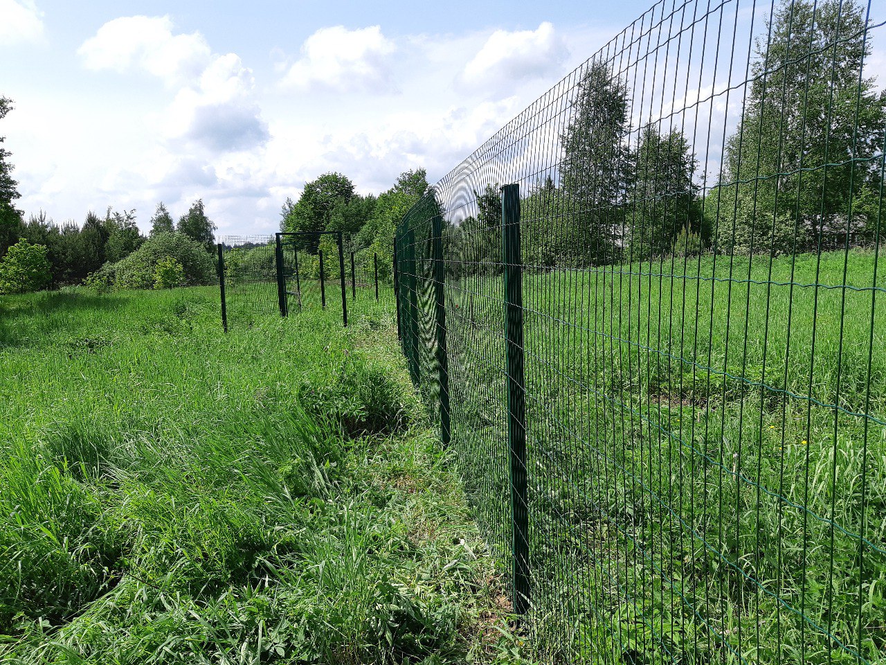 Забор из сетки-рабицы в Егорьевске — надёжное и недорогое ограждение