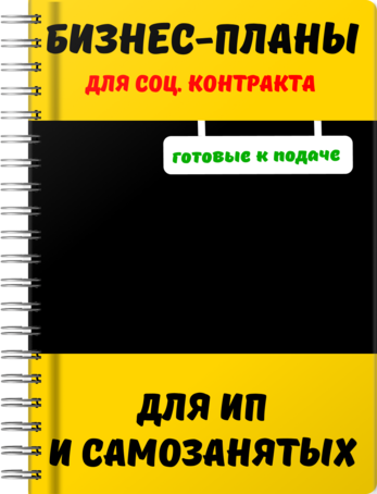 Бизнес-план для социального контракта