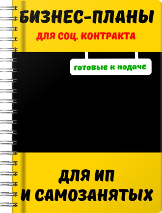 Бизнес-план для социального контракта
