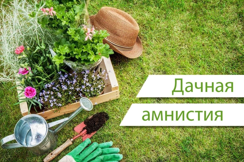 Дачная амнистия