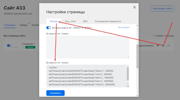 Пример вставки кода цели в настройках страницы в интерфейсе mottor