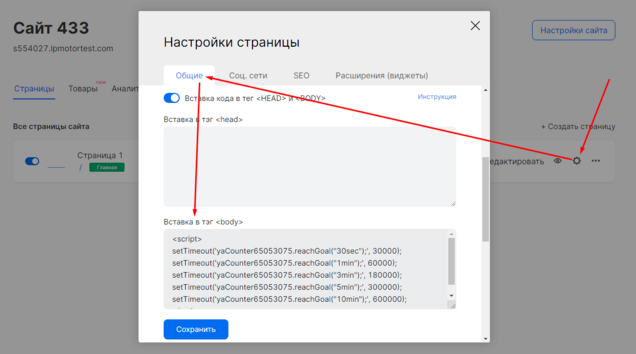 Пример вставки кода цели в настройках страницы в интерфейсе mottor