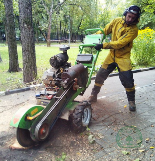 Удаление пней