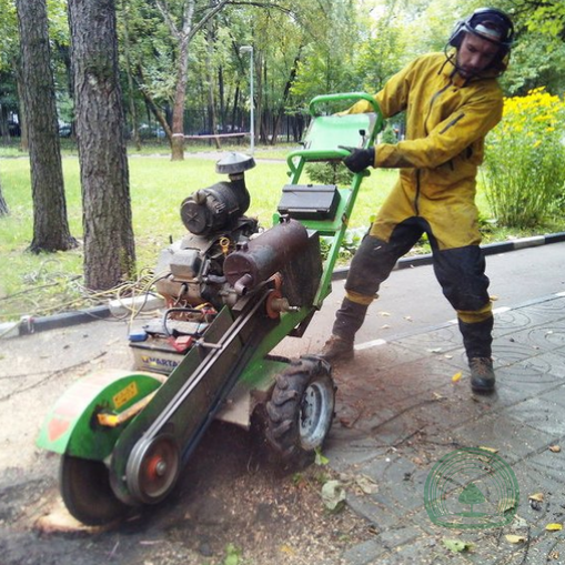 Удаление пней