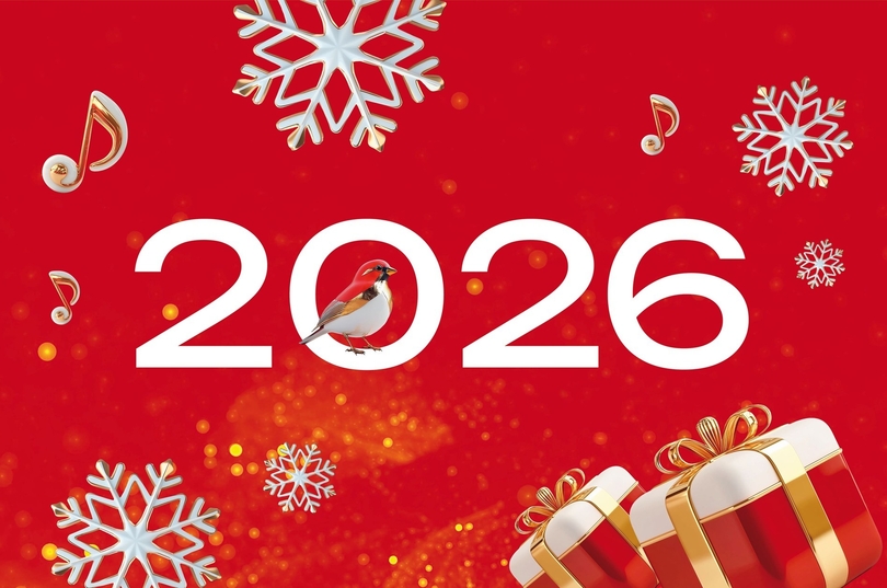 Логотип на новый год с белым фоном