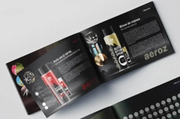 Дизайн упаковки, каталога для торговой марки VimFlex — визуал, фото, бренд. Бендеры, Молдова, Европа