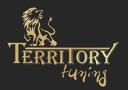 Кузовной ремонт и тюнинг, обвесы