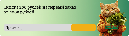Скидка 200 рублей на первый заказ от 1000 рублей