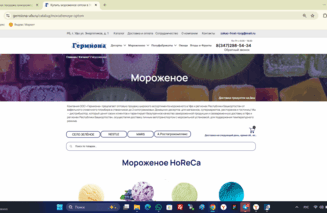 Сео продвижение сайта в поисковых системах Яндекс и Google от Толстель Максима