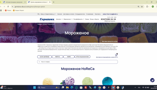 Сео продвижение сайта в поисковых системах Яндекс и Google от Толстель Максима