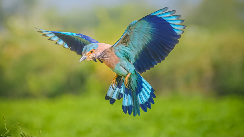 отходы 1 класса опасны для природы