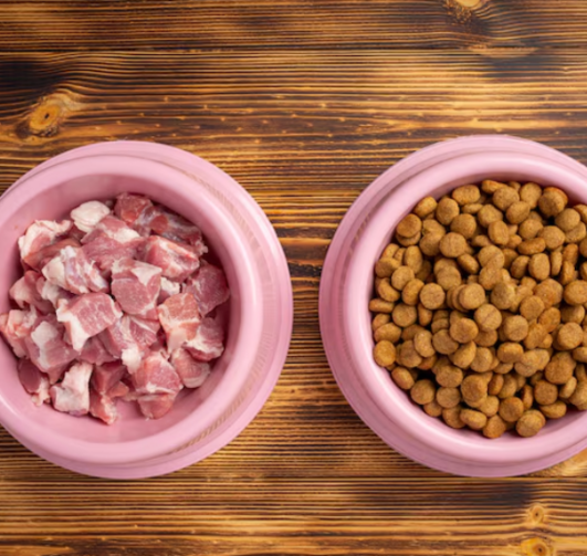 Роль белка в рационе