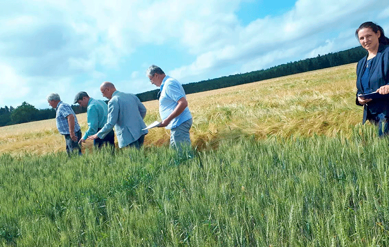 Испытания удобрения Гумицела проводились в Орловской области