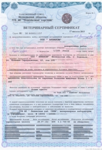лечебные пиявки
