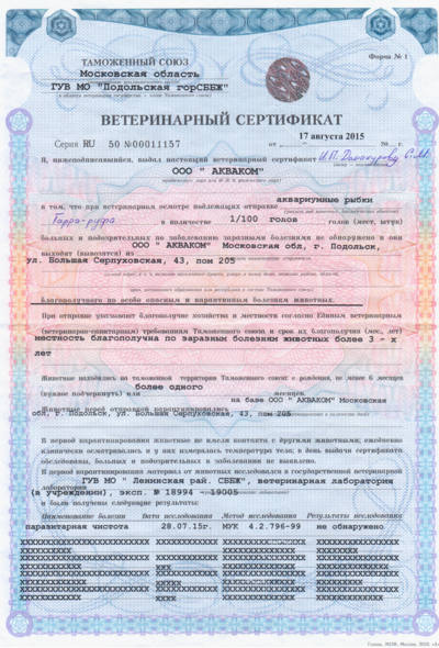 лечебные пиявки