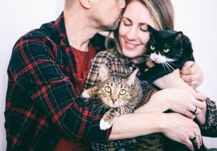 Стерилизация кошки Минск