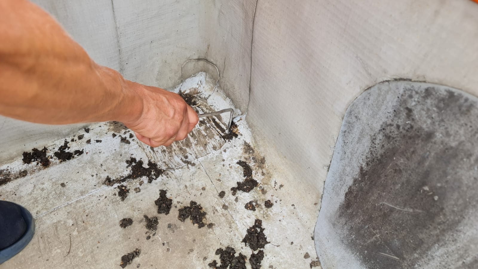 поиск  непроваров  бастардой