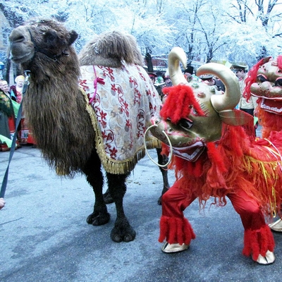Красный Бык в Казахстане